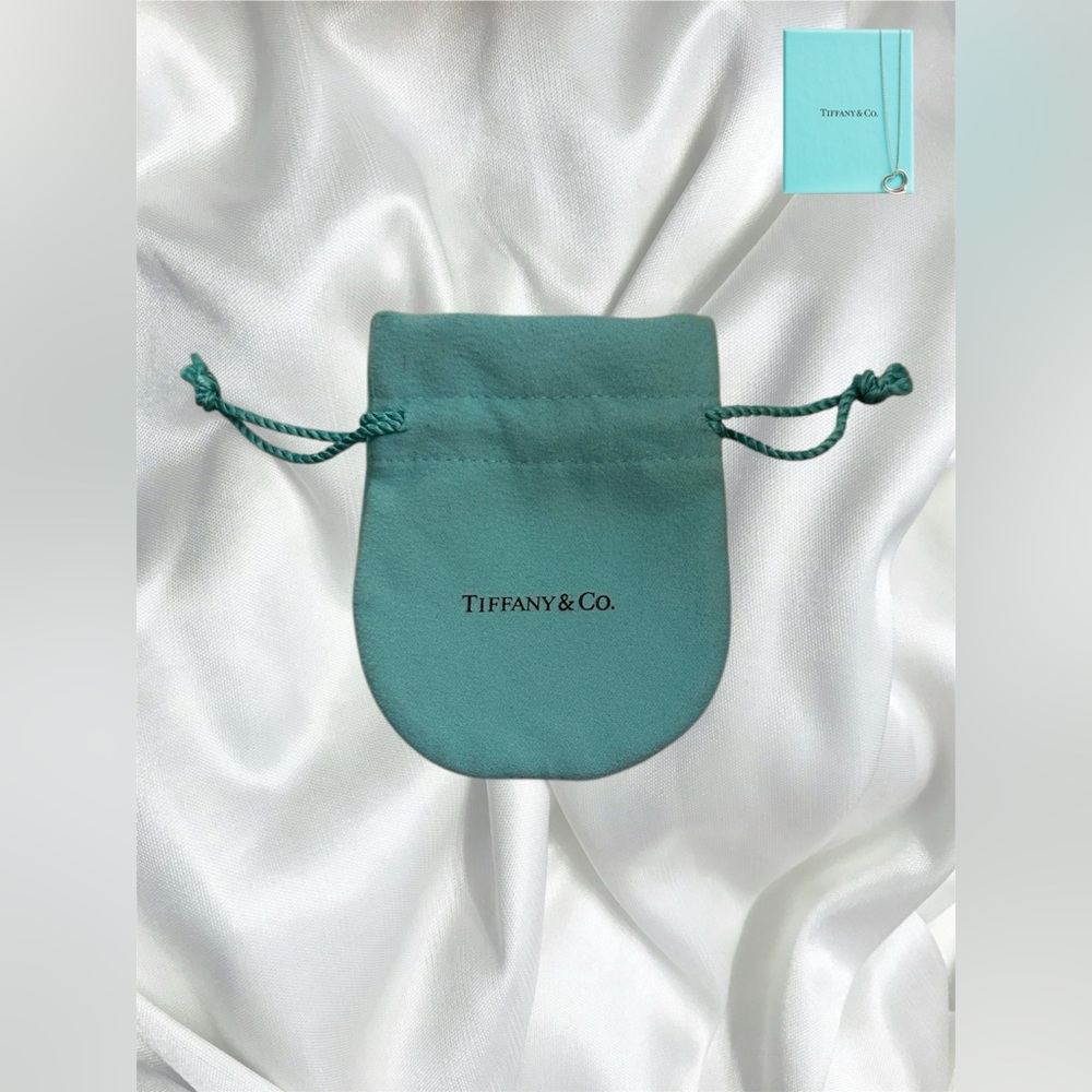 Tiffany & Co. Teal Drawstring Pouch